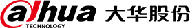 大华股份